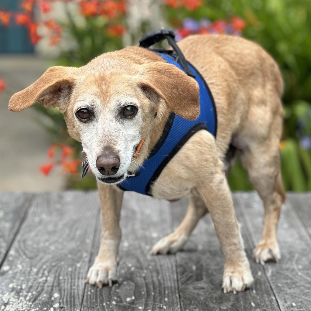 Wilson — thumbnail 2