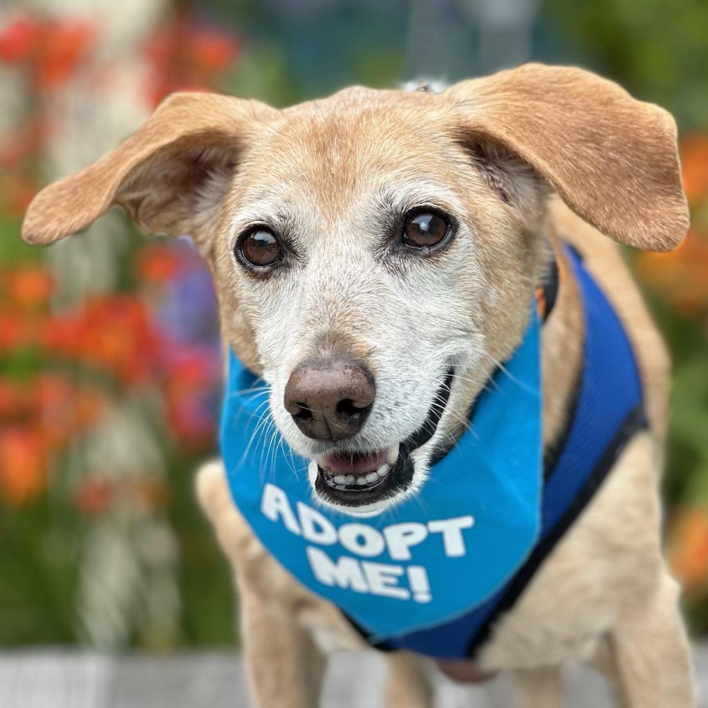 Wilson — thumbnail 4