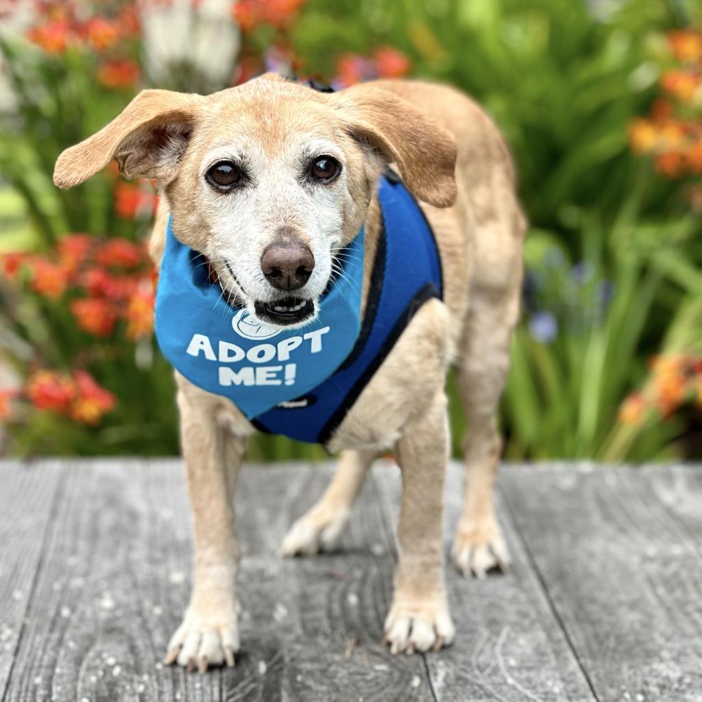 Wilson — thumbnail 5