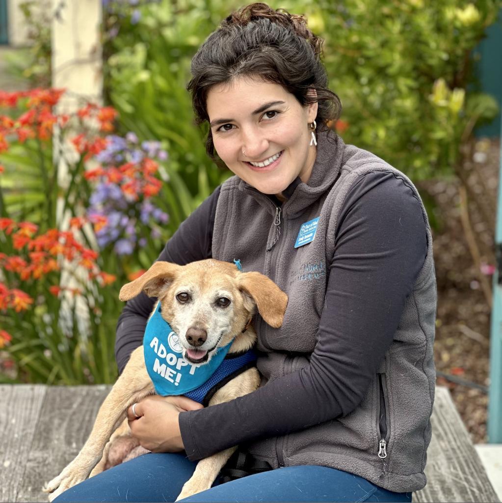 Wilson — thumbnail 6