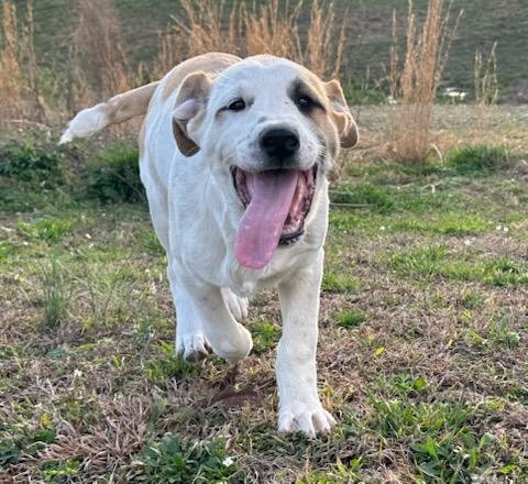 Jacoby Jackpot — thumbnail 2