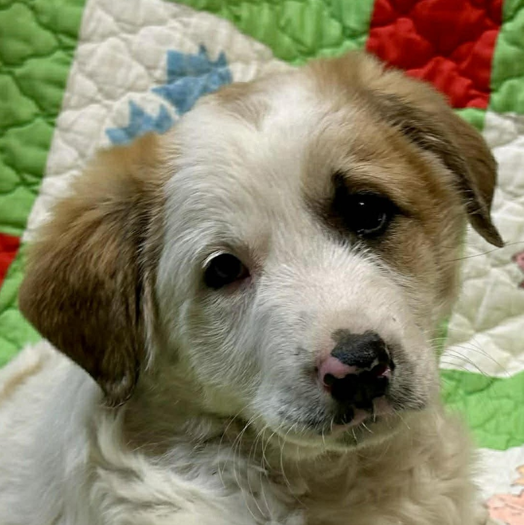 Jacoby Jackpot — thumbnail 5