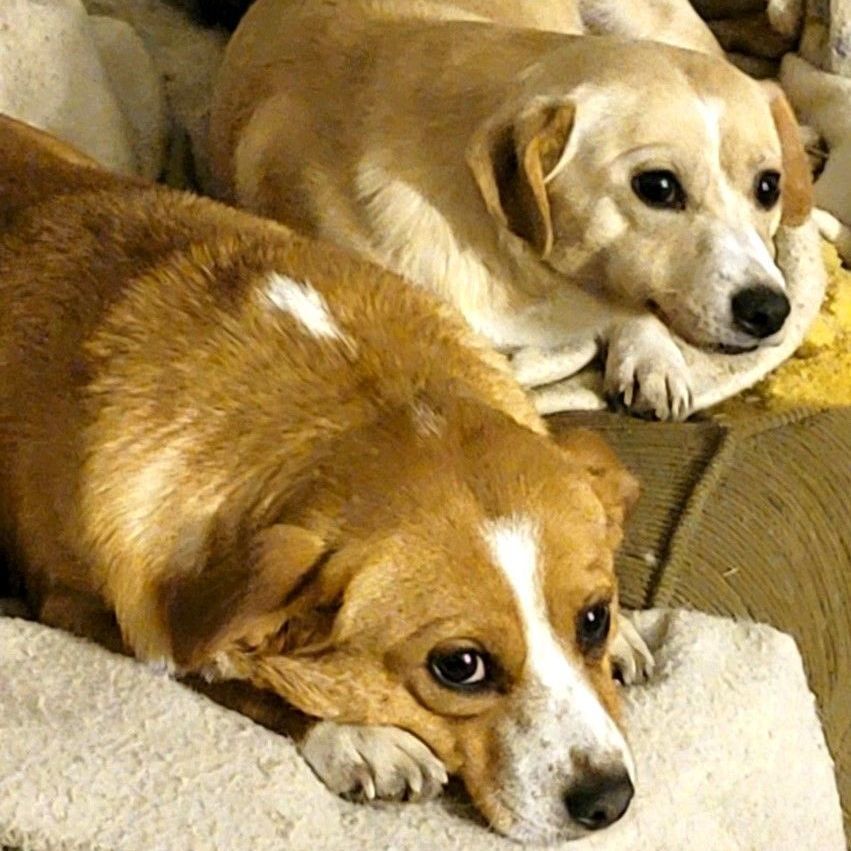 Mommy and Sissy