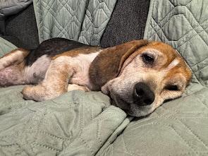 Penelope