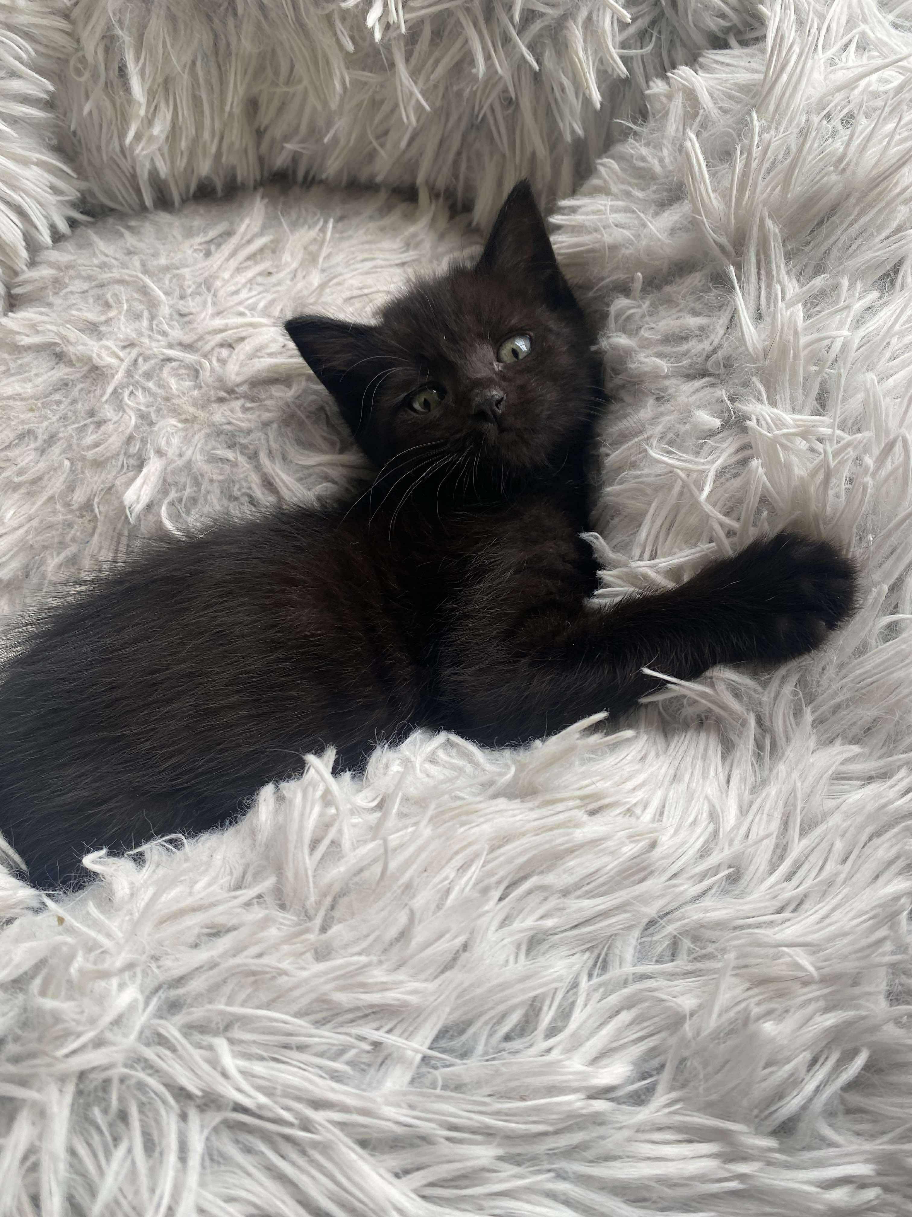 Pixel
