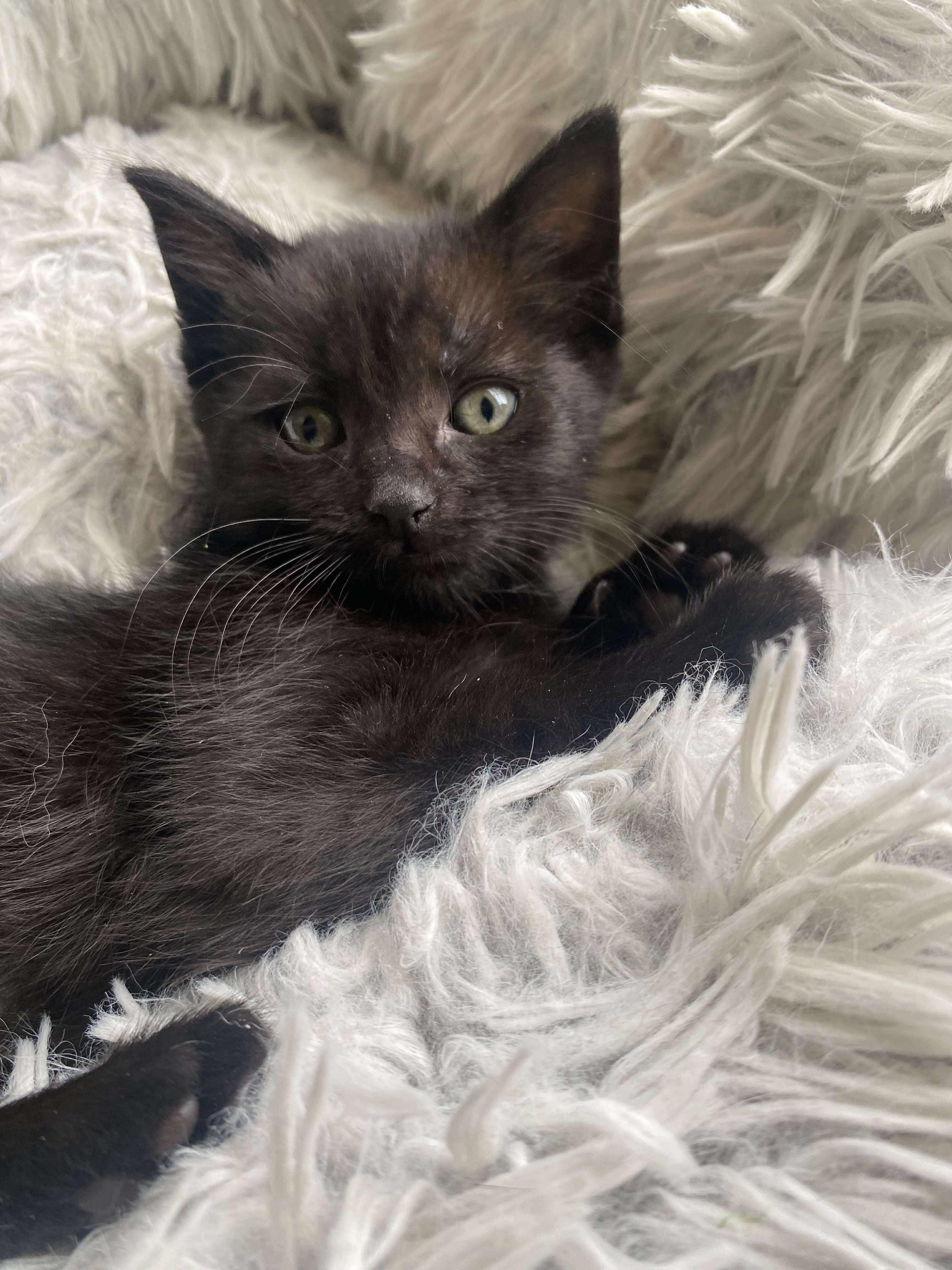 Pixel