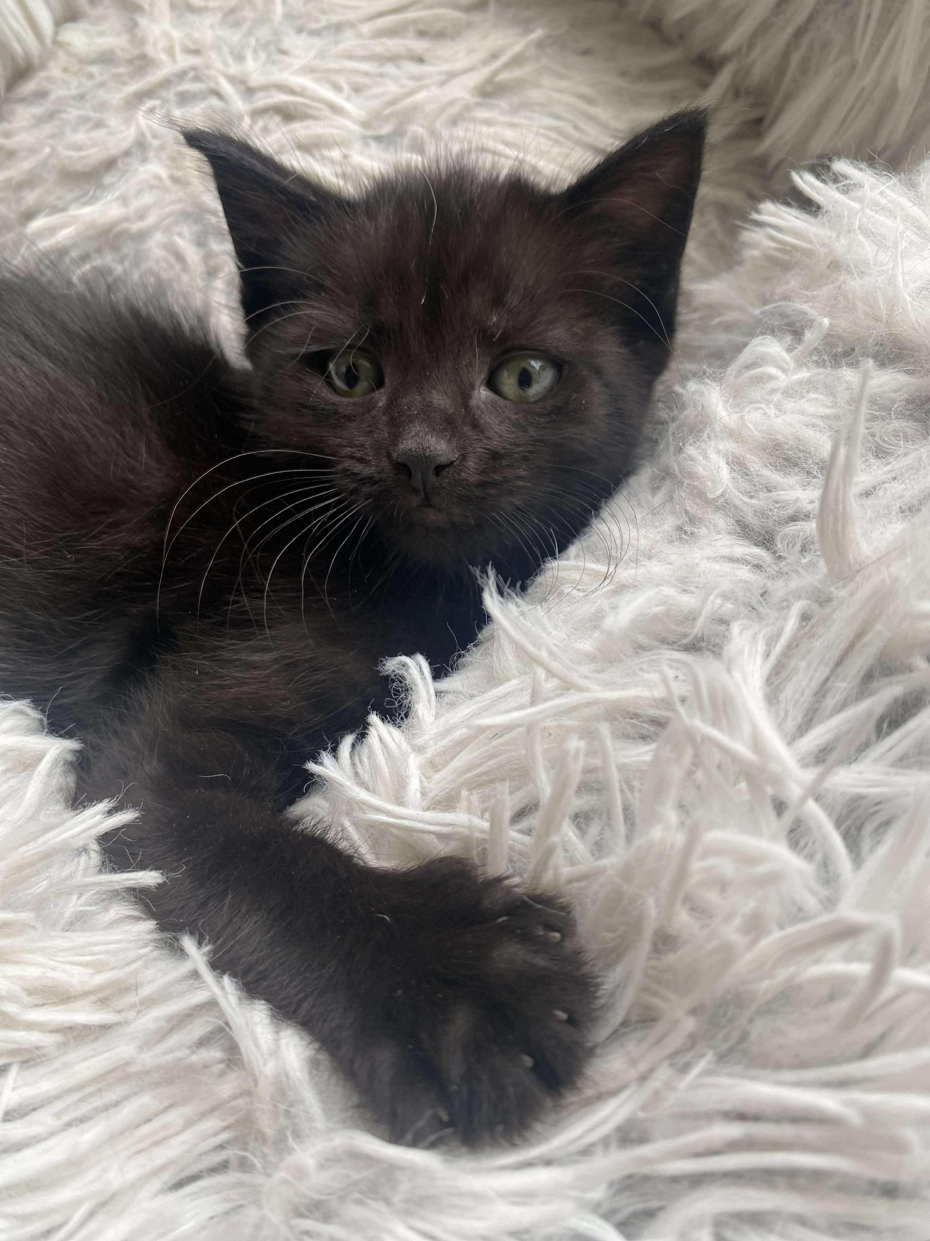 Pixel