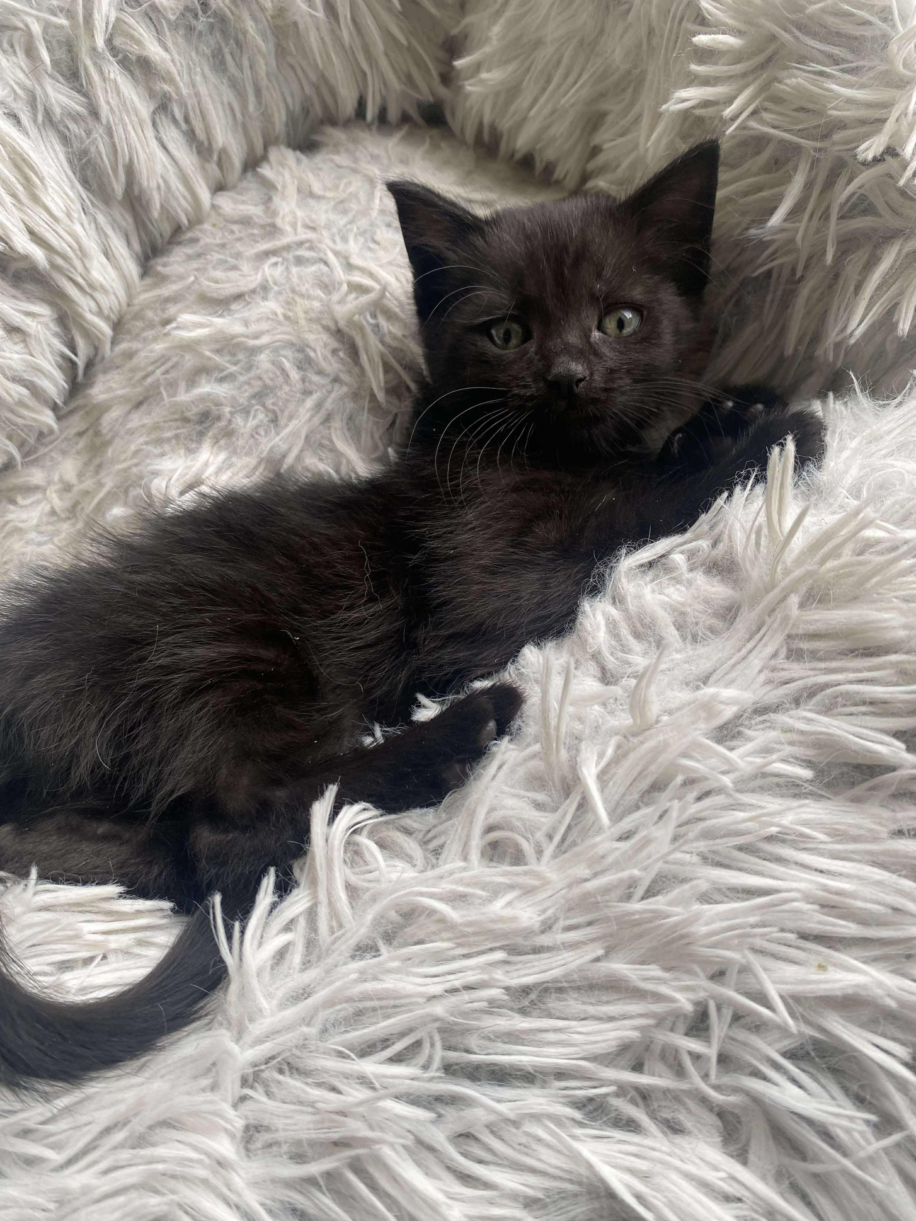 Pixel