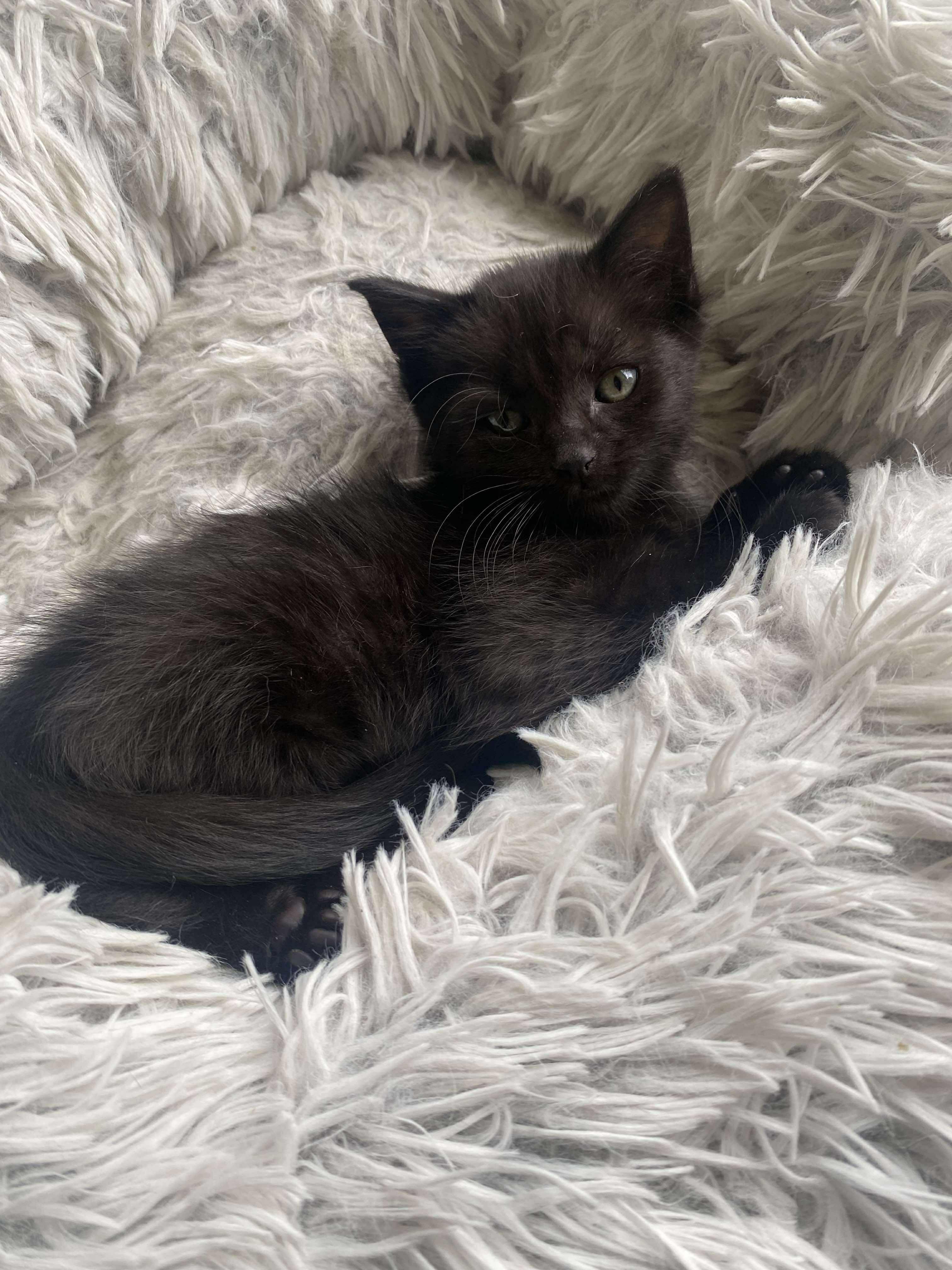 Pixel