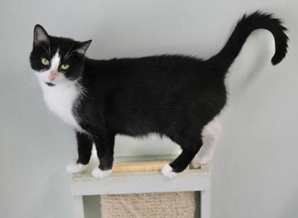 Sharon Pawsbourne thumbnail 2