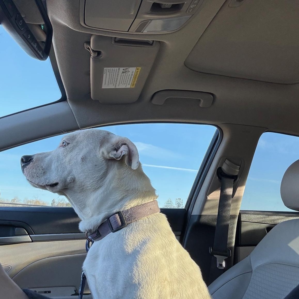 River 1 — thumbnail 4