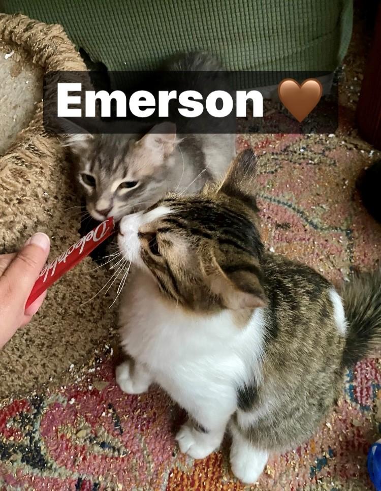 Emerson thumbnail 3