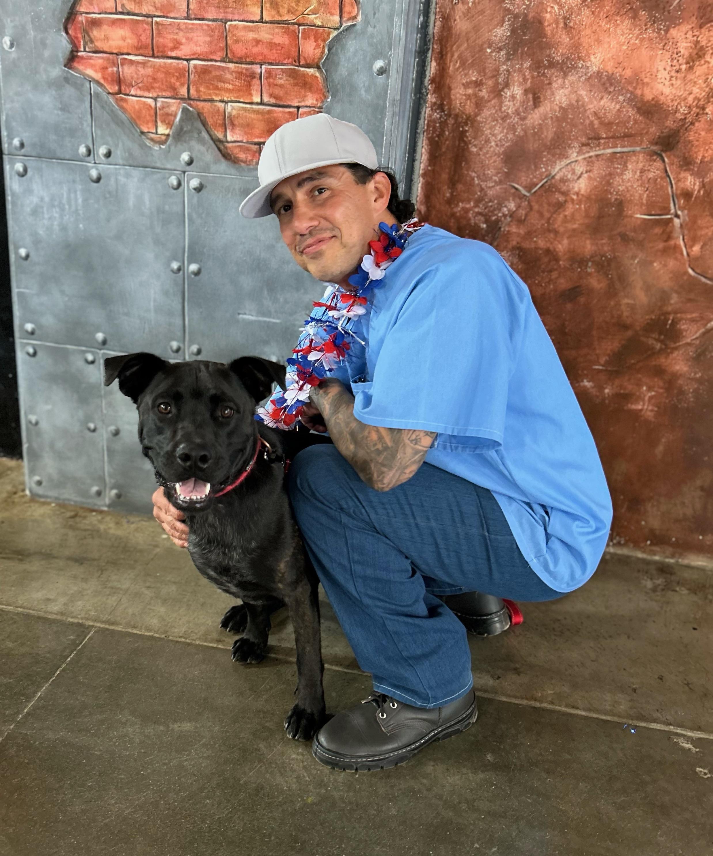 Bo 0124, an adoptable Black Labrador Retriever in Sonora, CA, 95370 | Photo Image 6