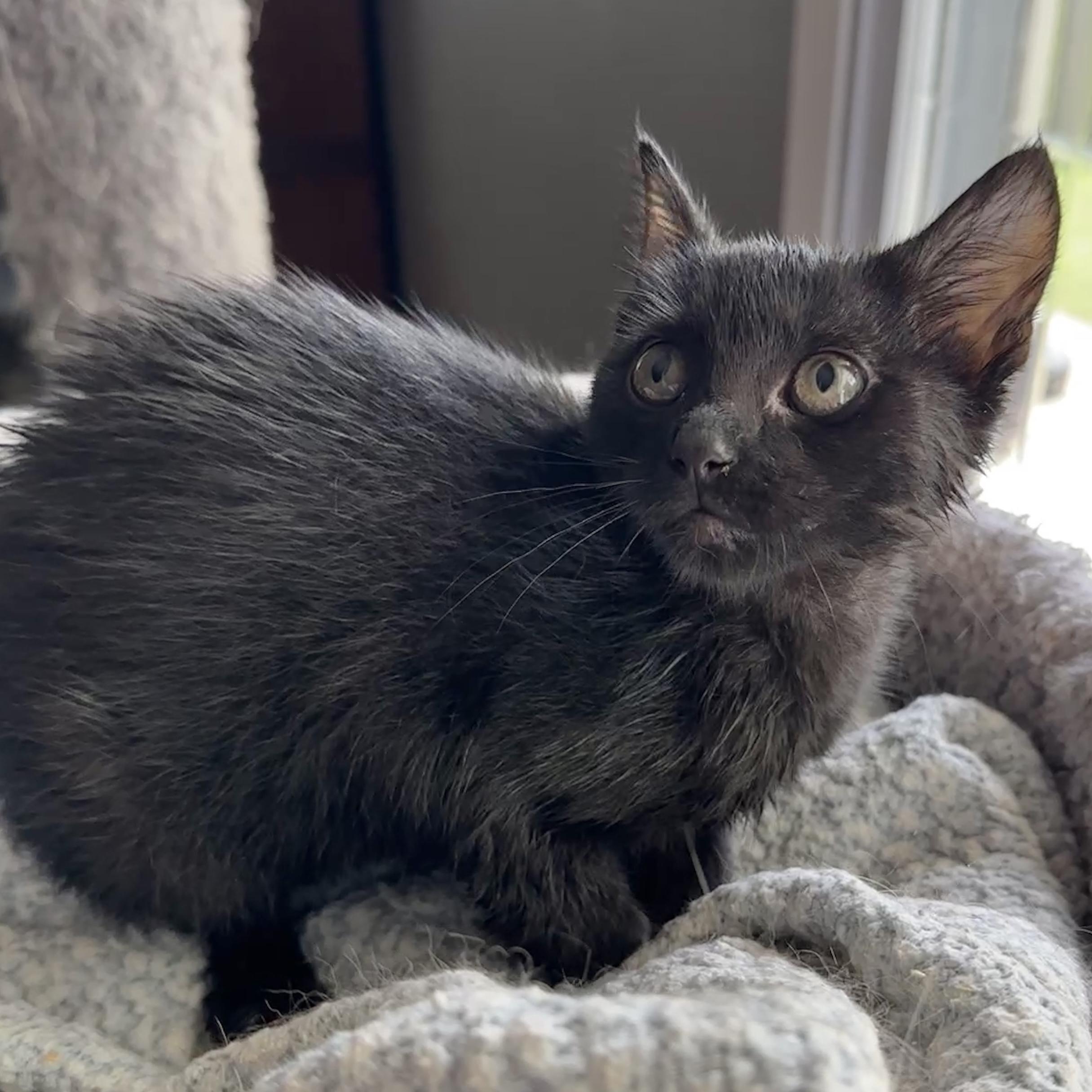 Tina
