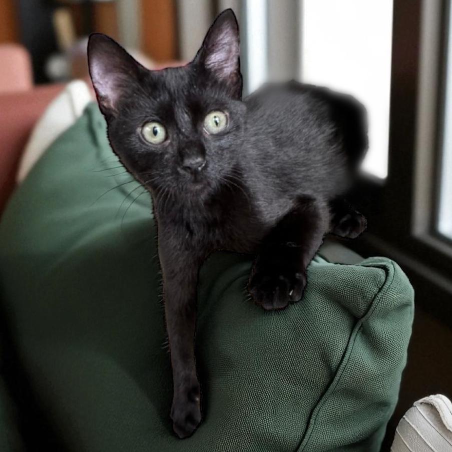 Tina