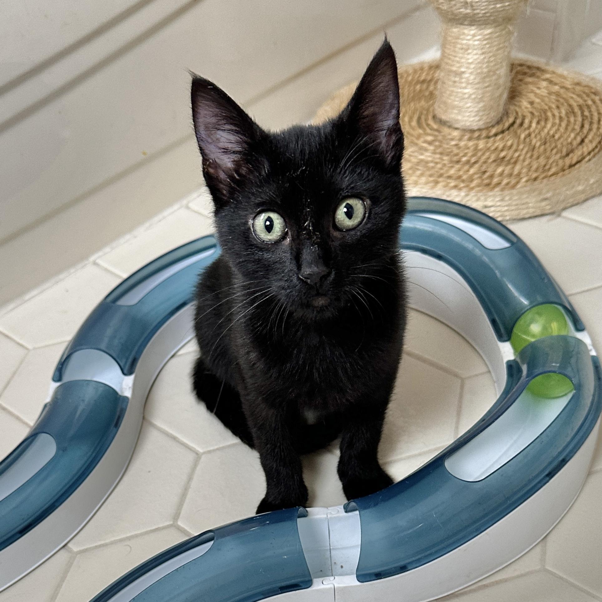 Tina