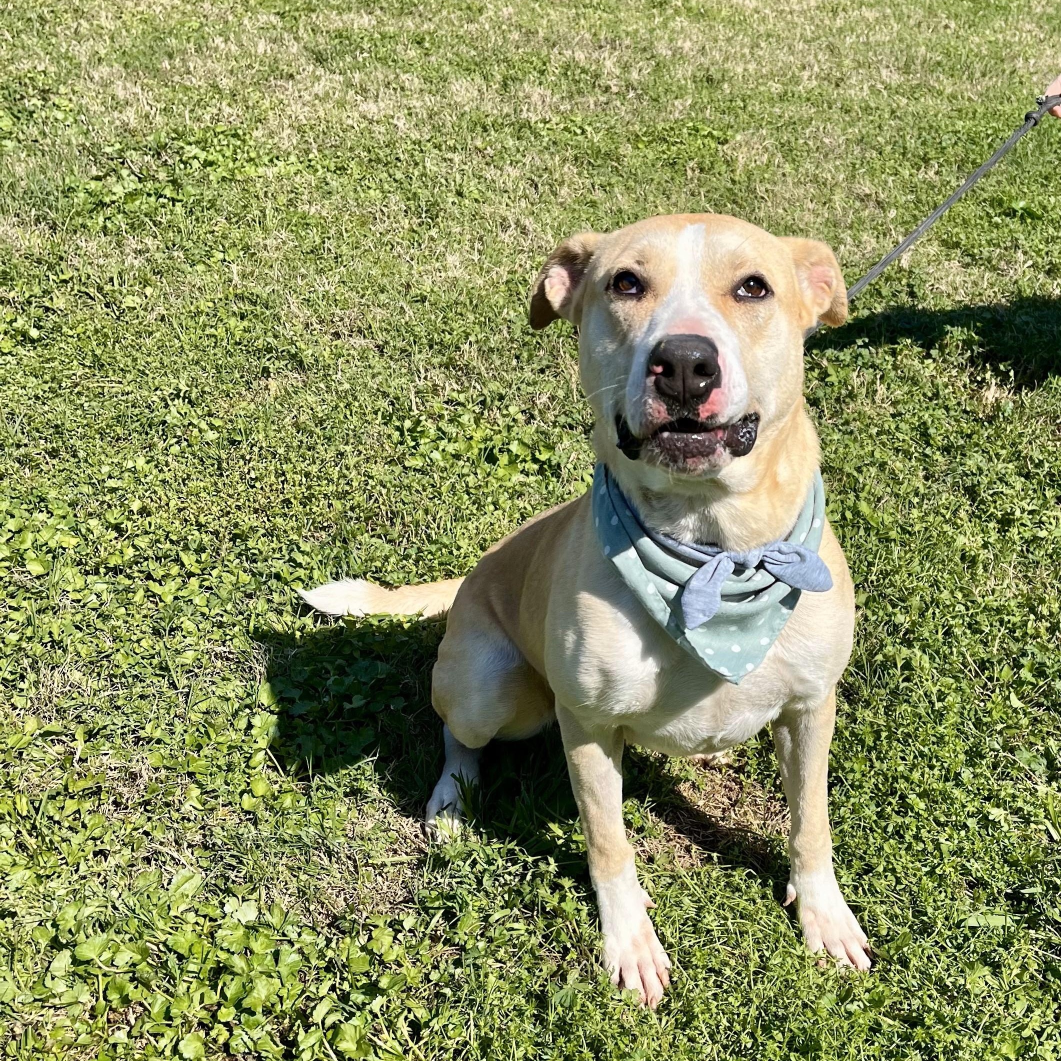 Marina — thumbnail 4