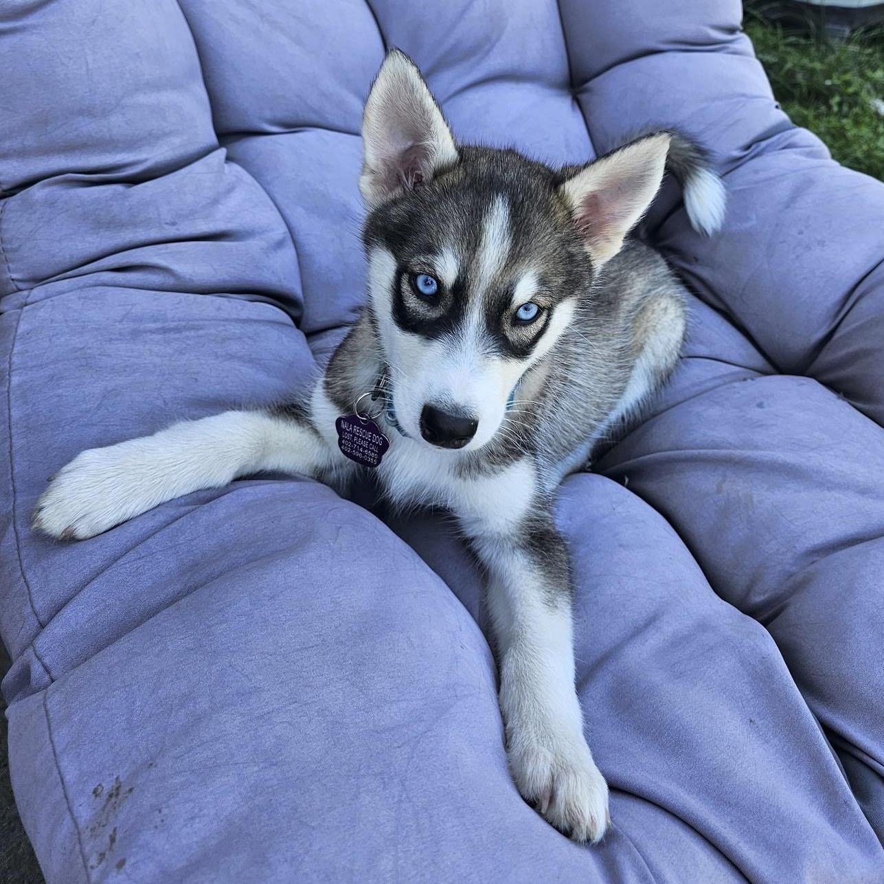 Penelope