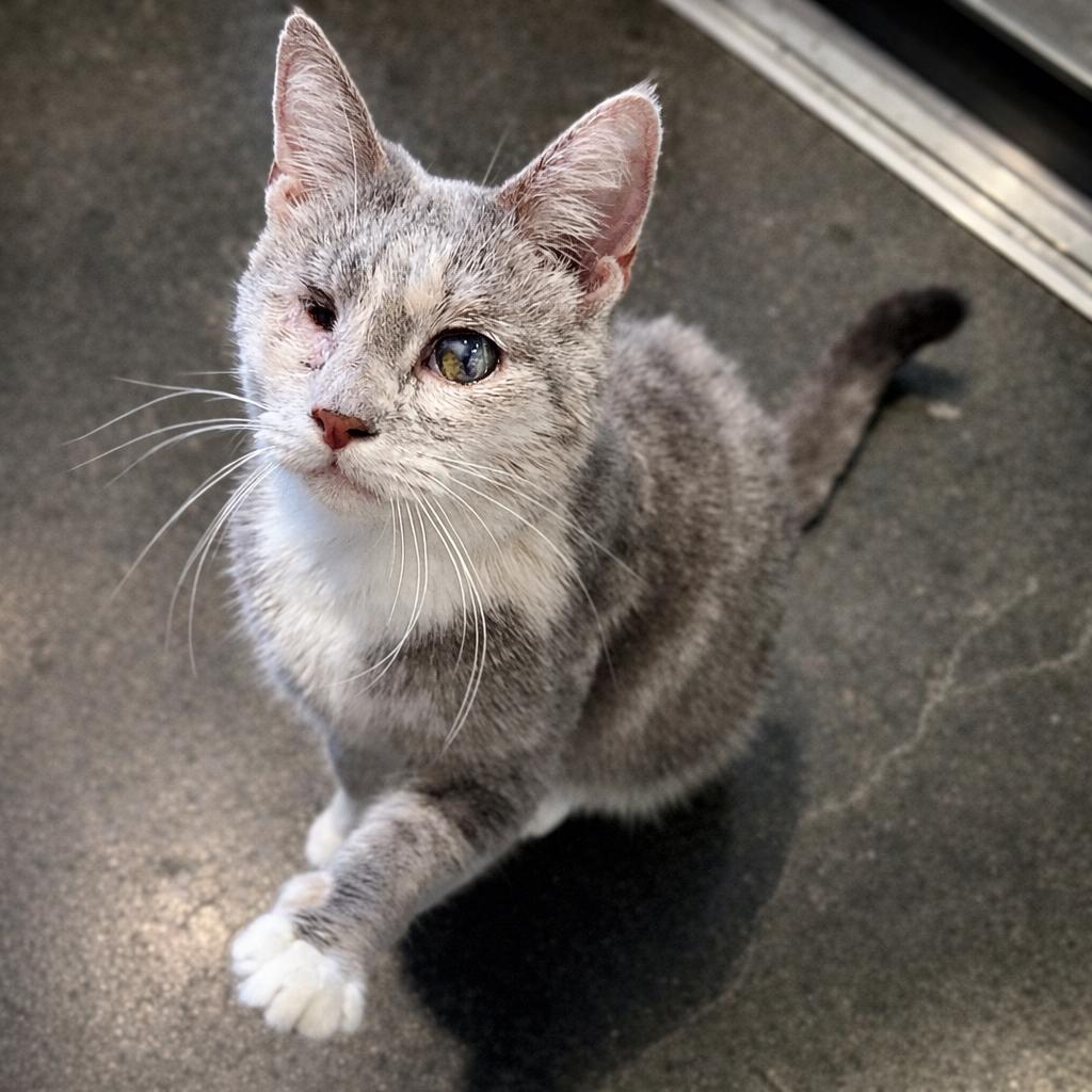 Elle Driver — thumbnail 2