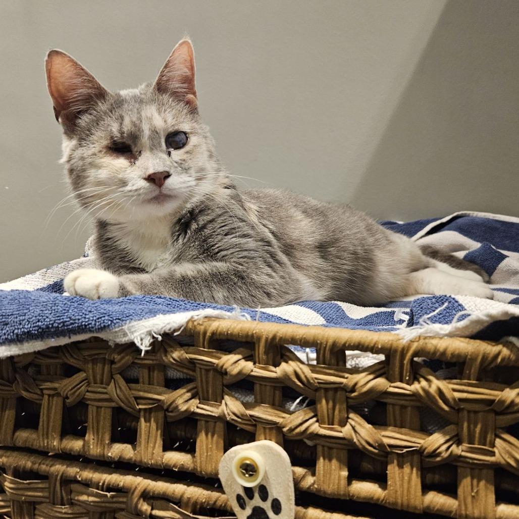 Elle Driver — thumbnail 3