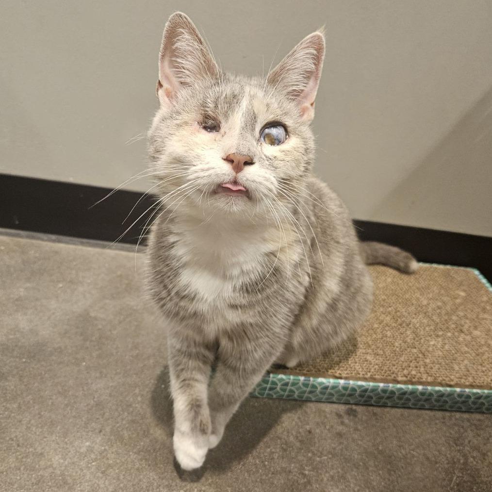 Elle Driver — thumbnail 5