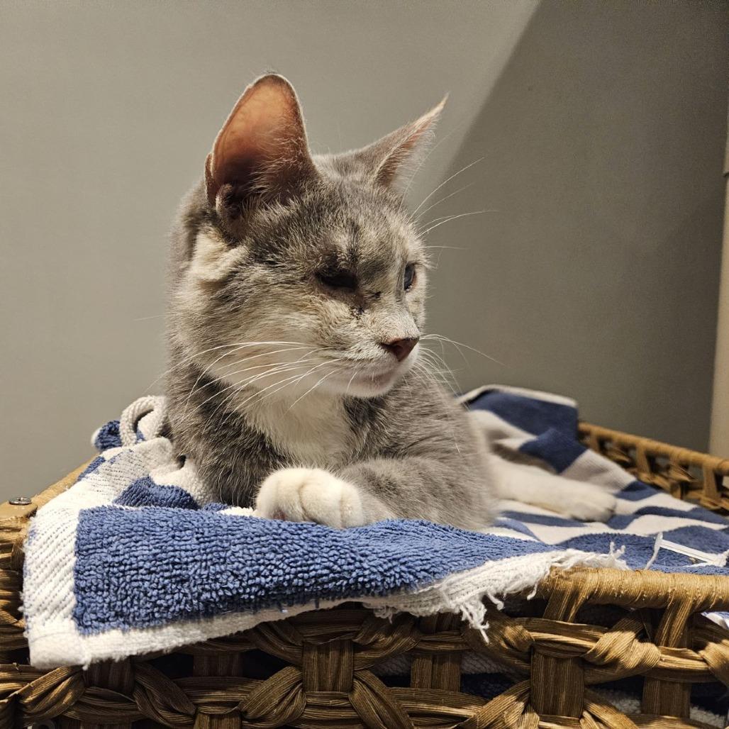 Elle Driver — thumbnail 6