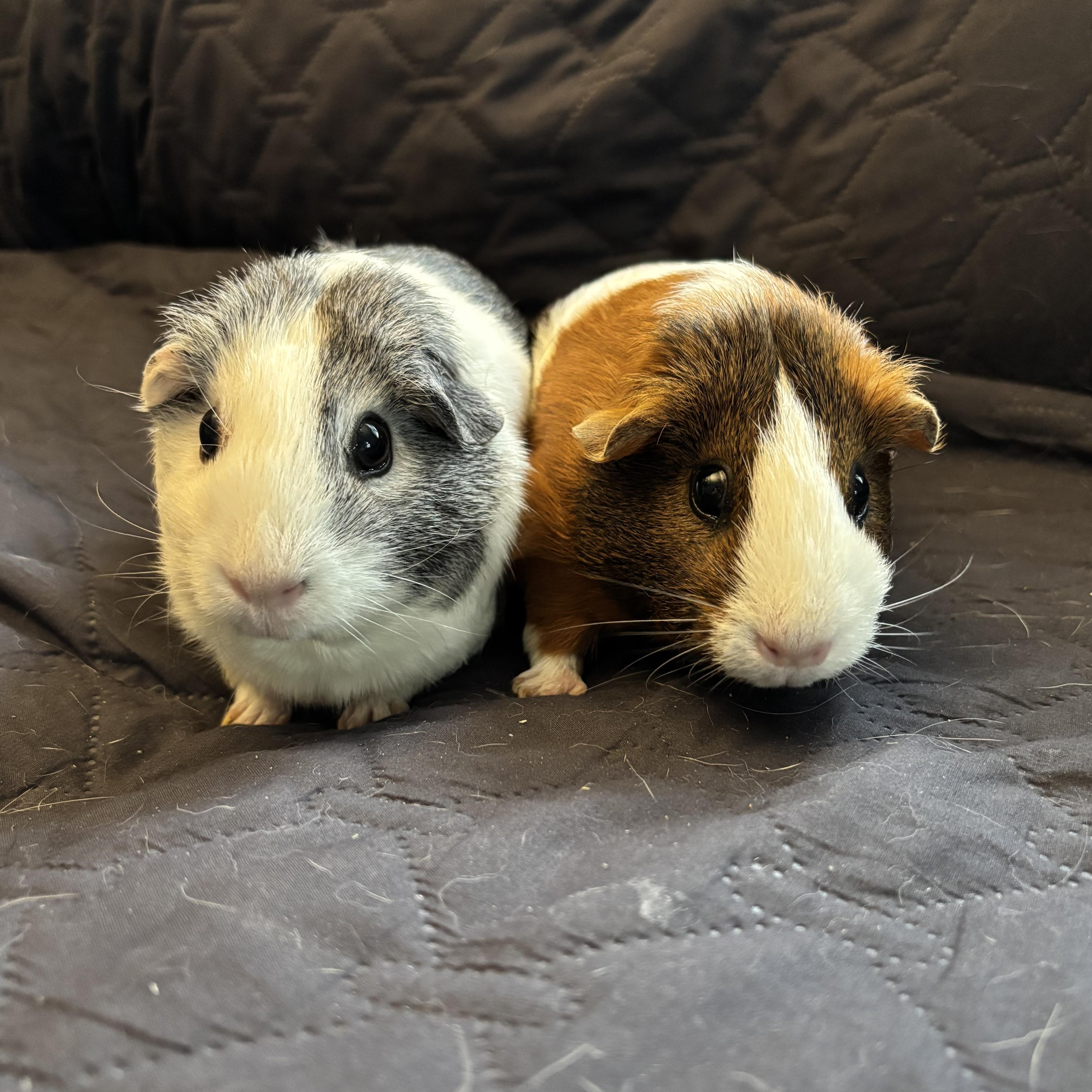 Jam & Jelly photo 5