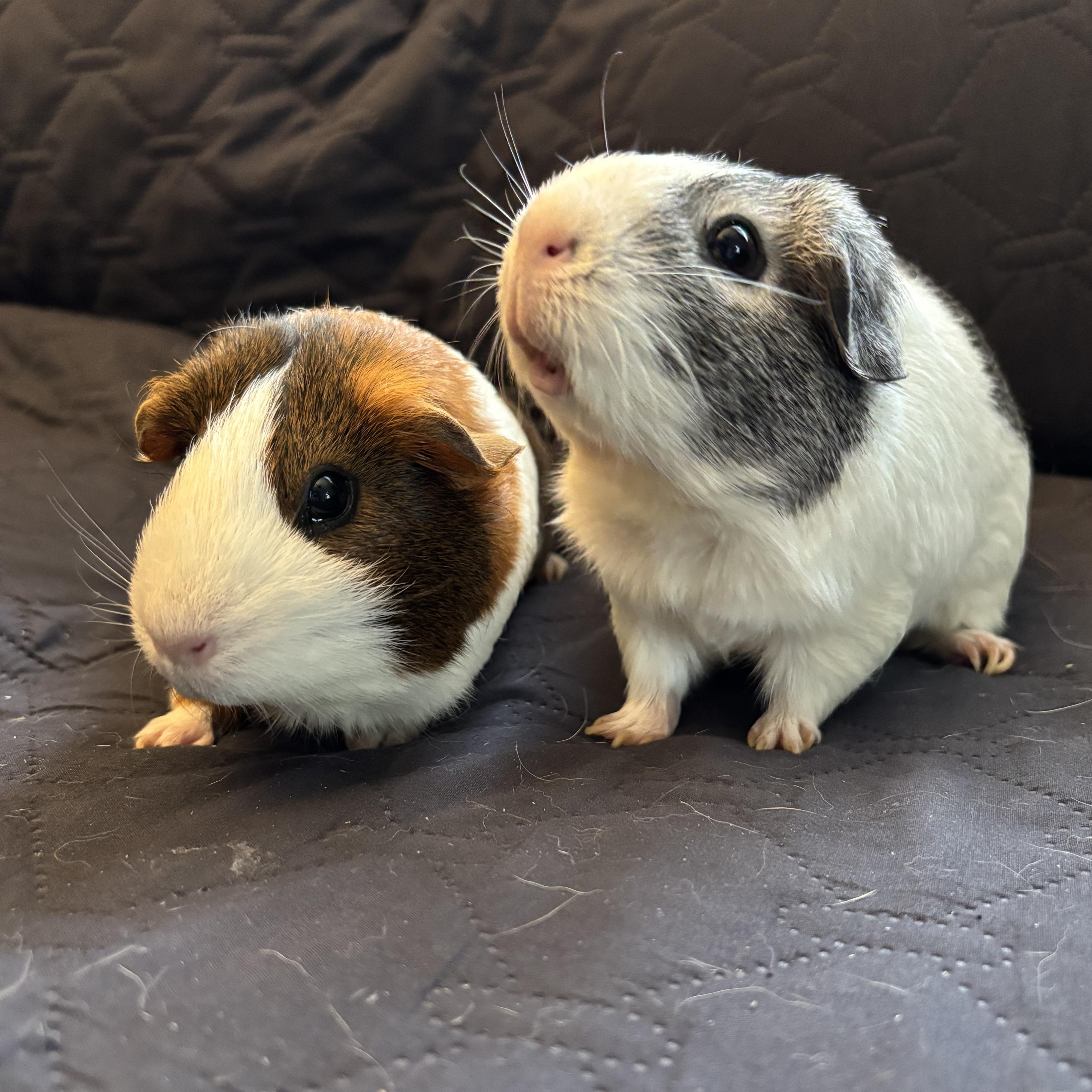 Jam & Jelly photo 2