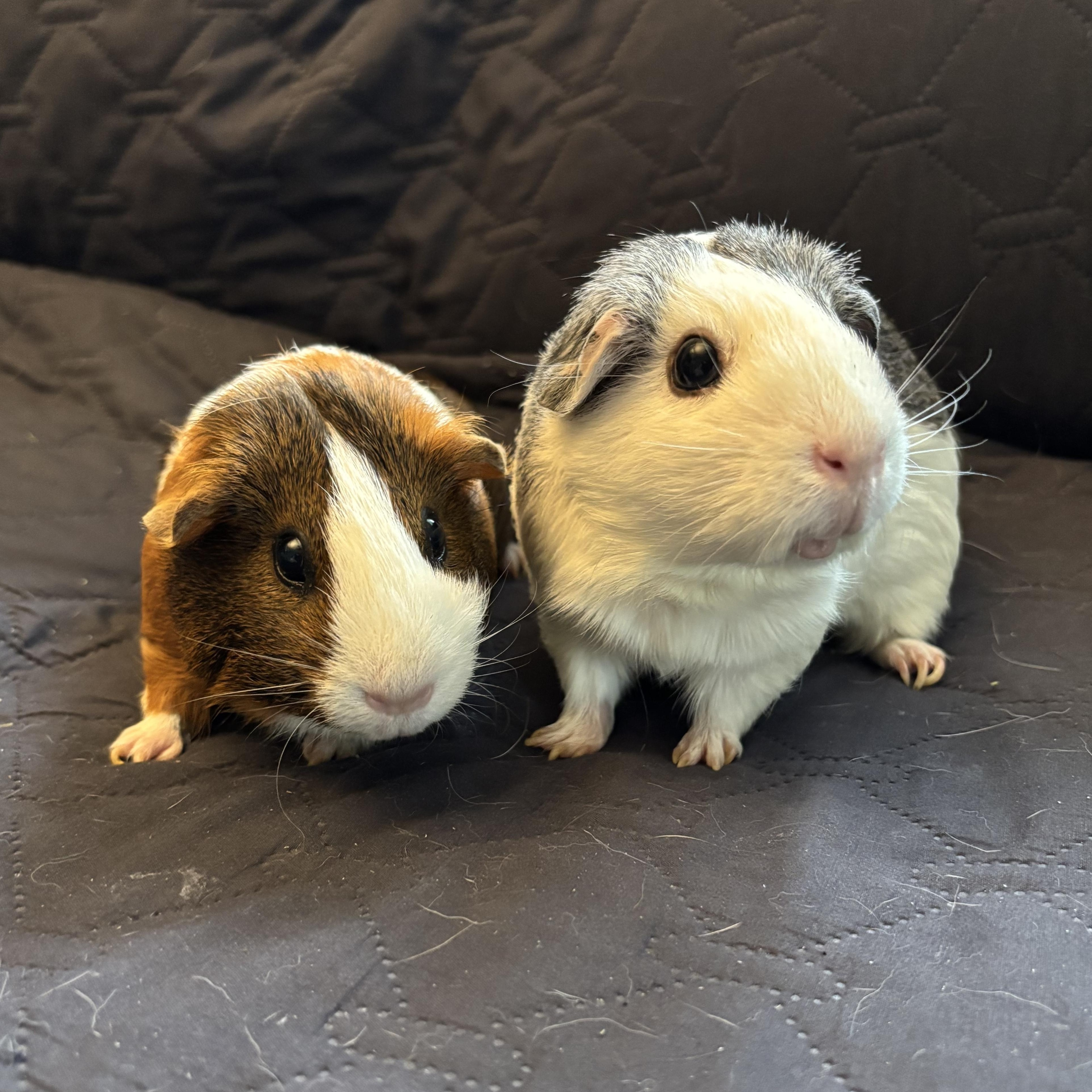 Jam & Jelly photo 4