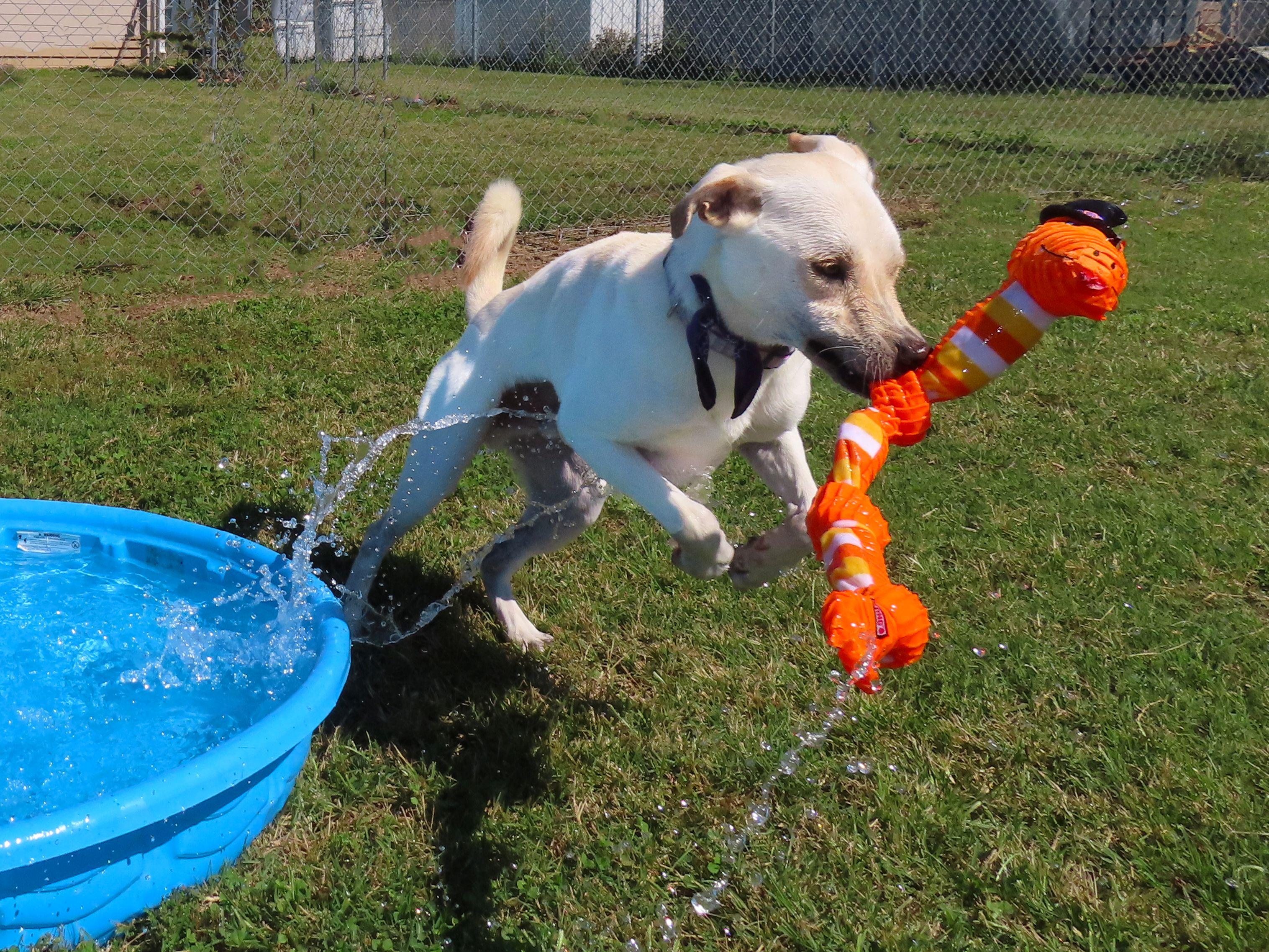 Jimmy  R thumbnail 3