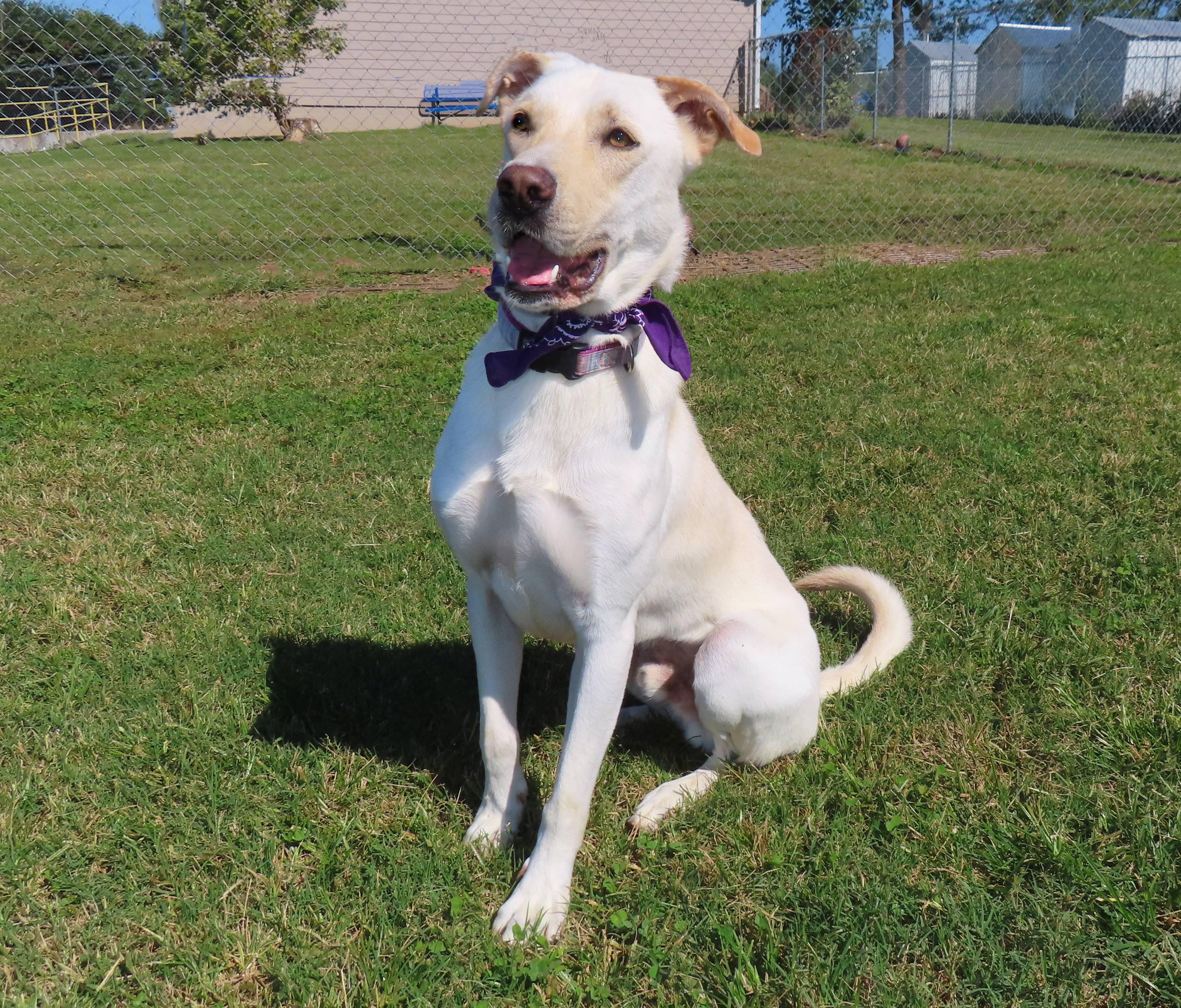 Jimmy  R thumbnail 5