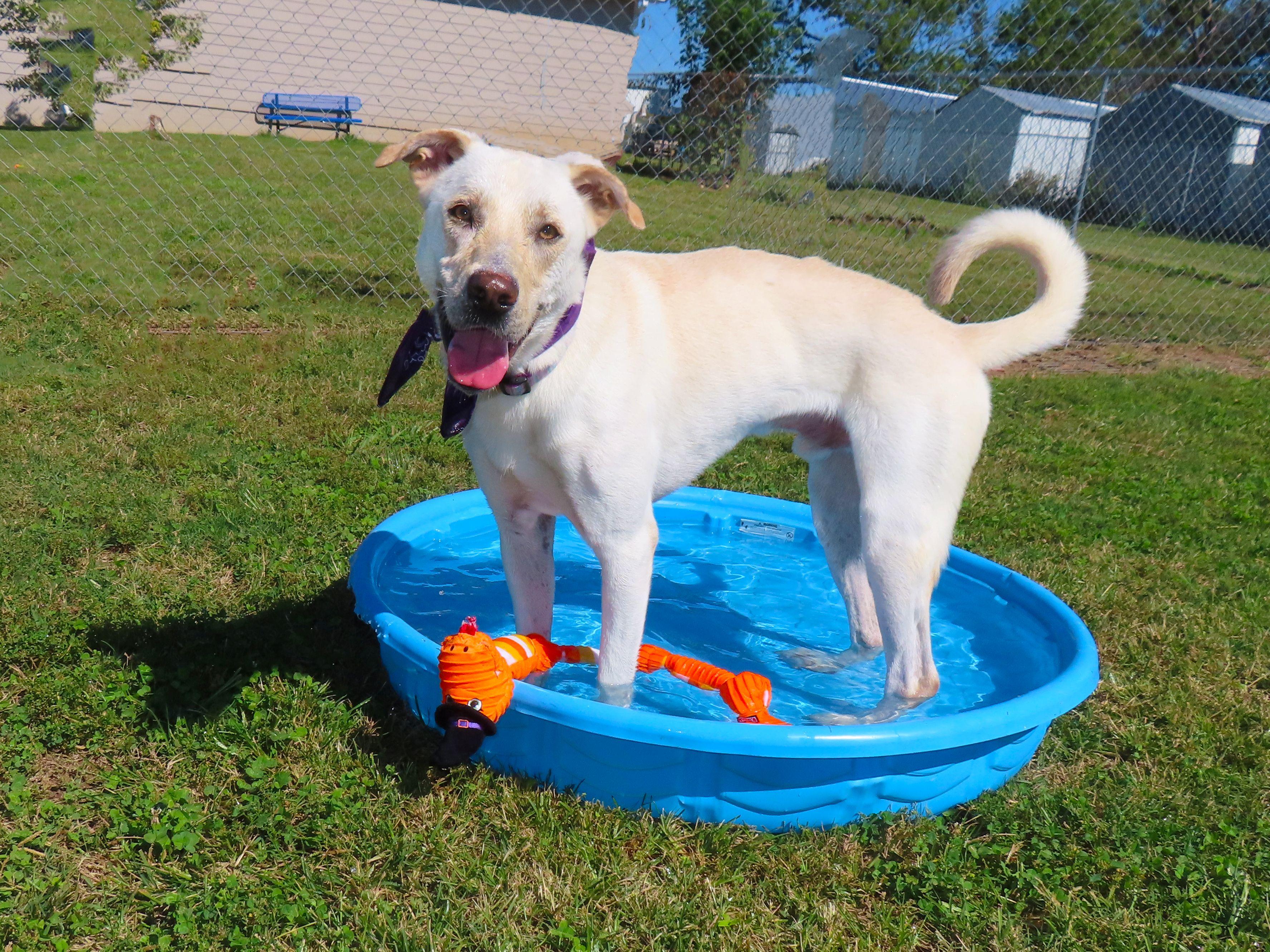 Jimmy  R thumbnail 2