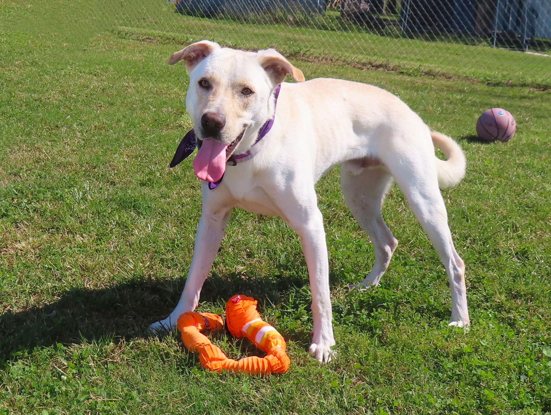 Jimmy  R thumbnail 4