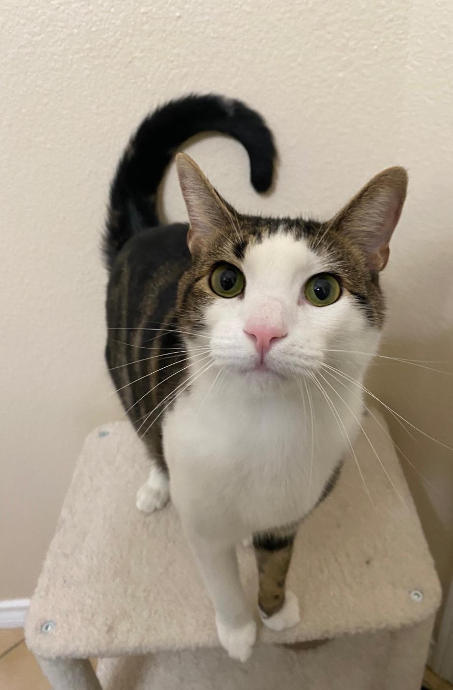 Hughie — thumbnail 5