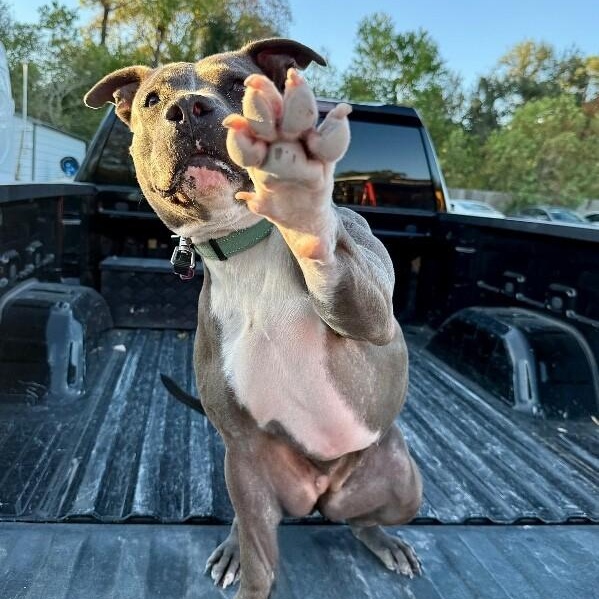 Maribella Made to Love full of fun