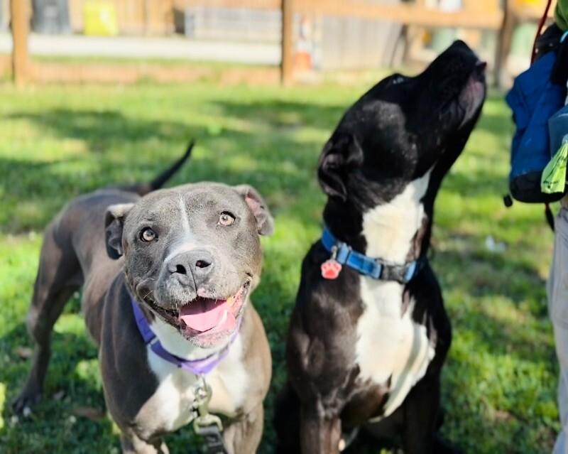 Maribella Made to Love full of fun — thumbnail 5