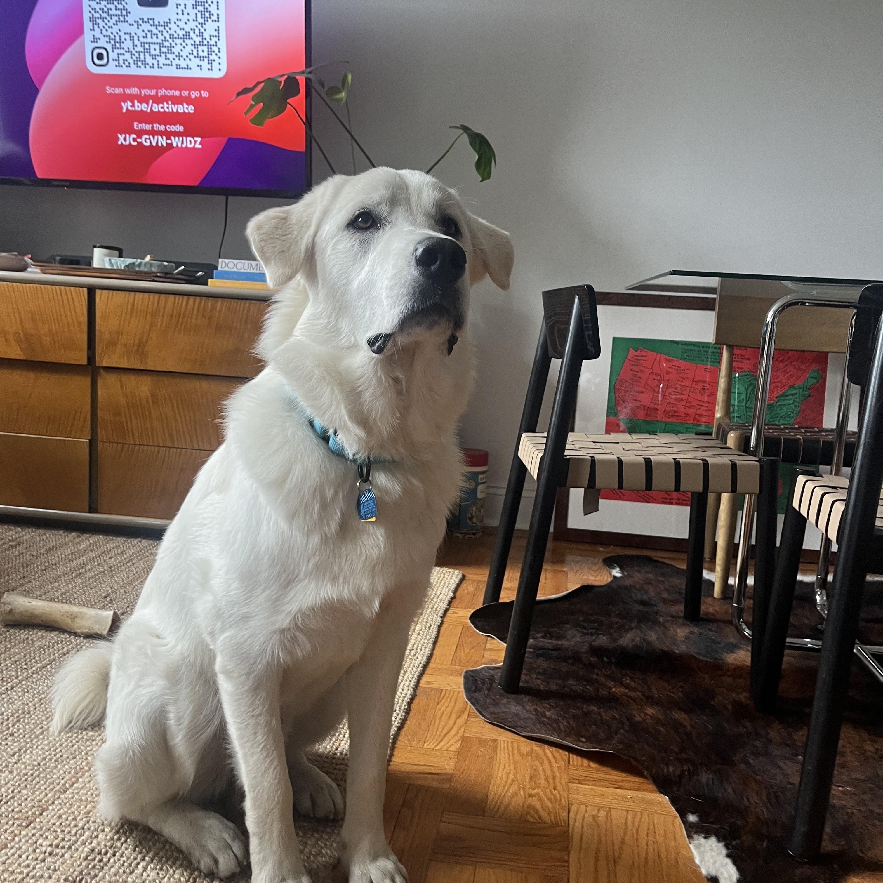 Olaf photo 2