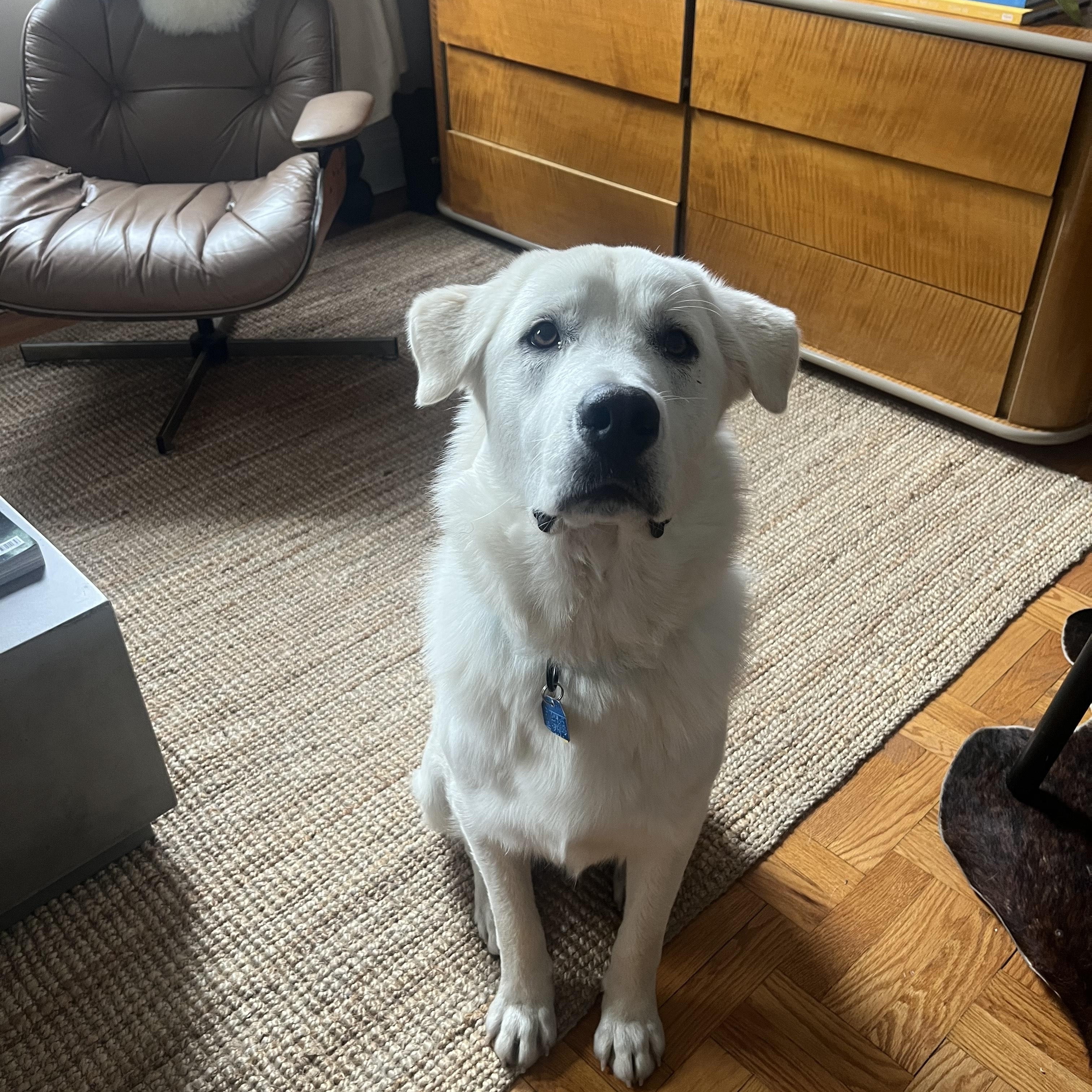 Olaf