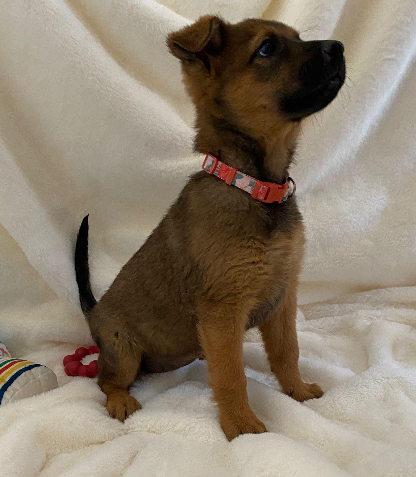 Mary — thumbnail 4