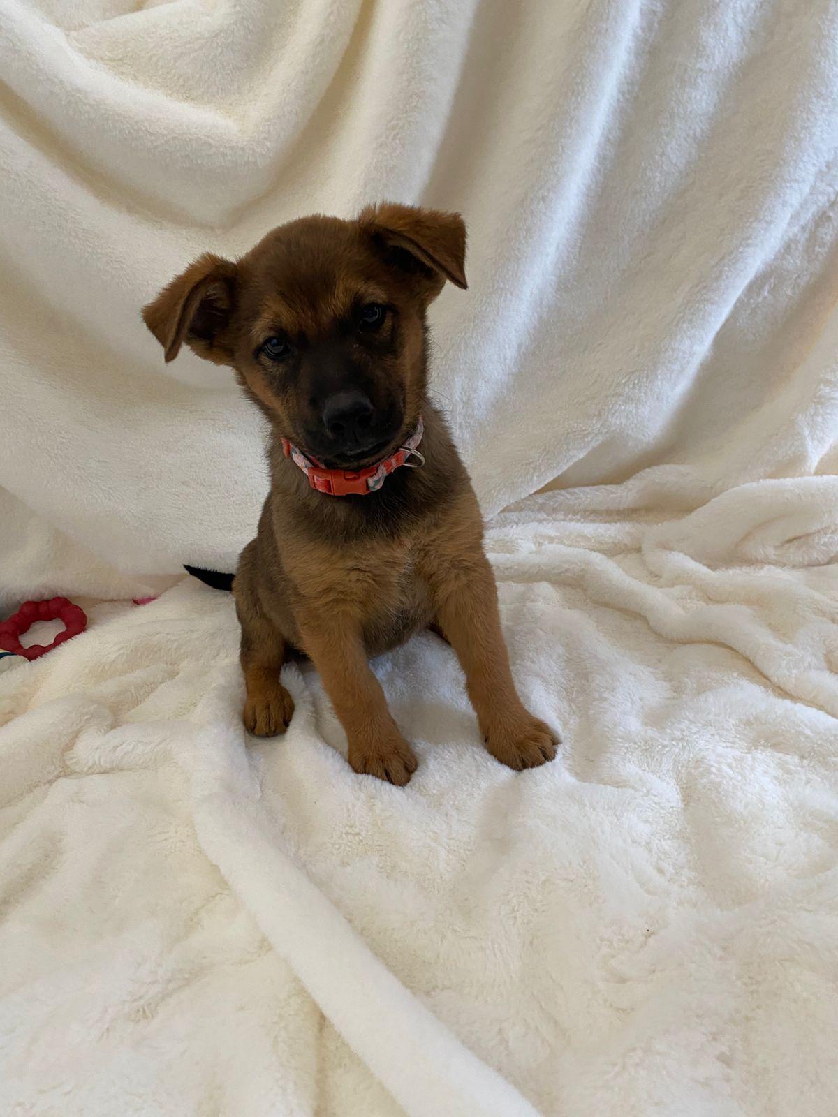 Mary — thumbnail 5