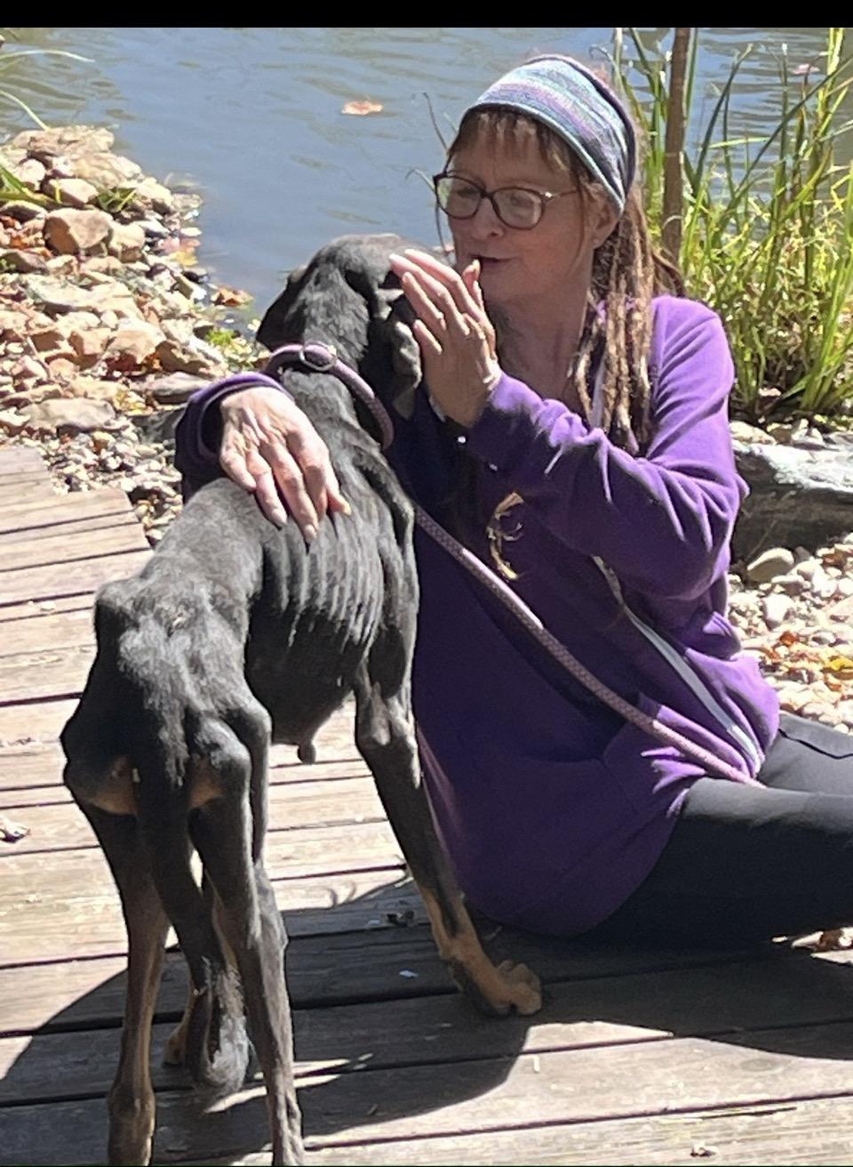 Enlarge Mia, a ADOPTABLE Doberman Pinscher in Rutherfordton, NC image 6/6