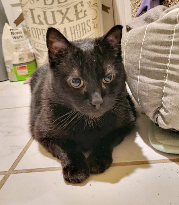 Fritz Fiv+ thumbnail 2