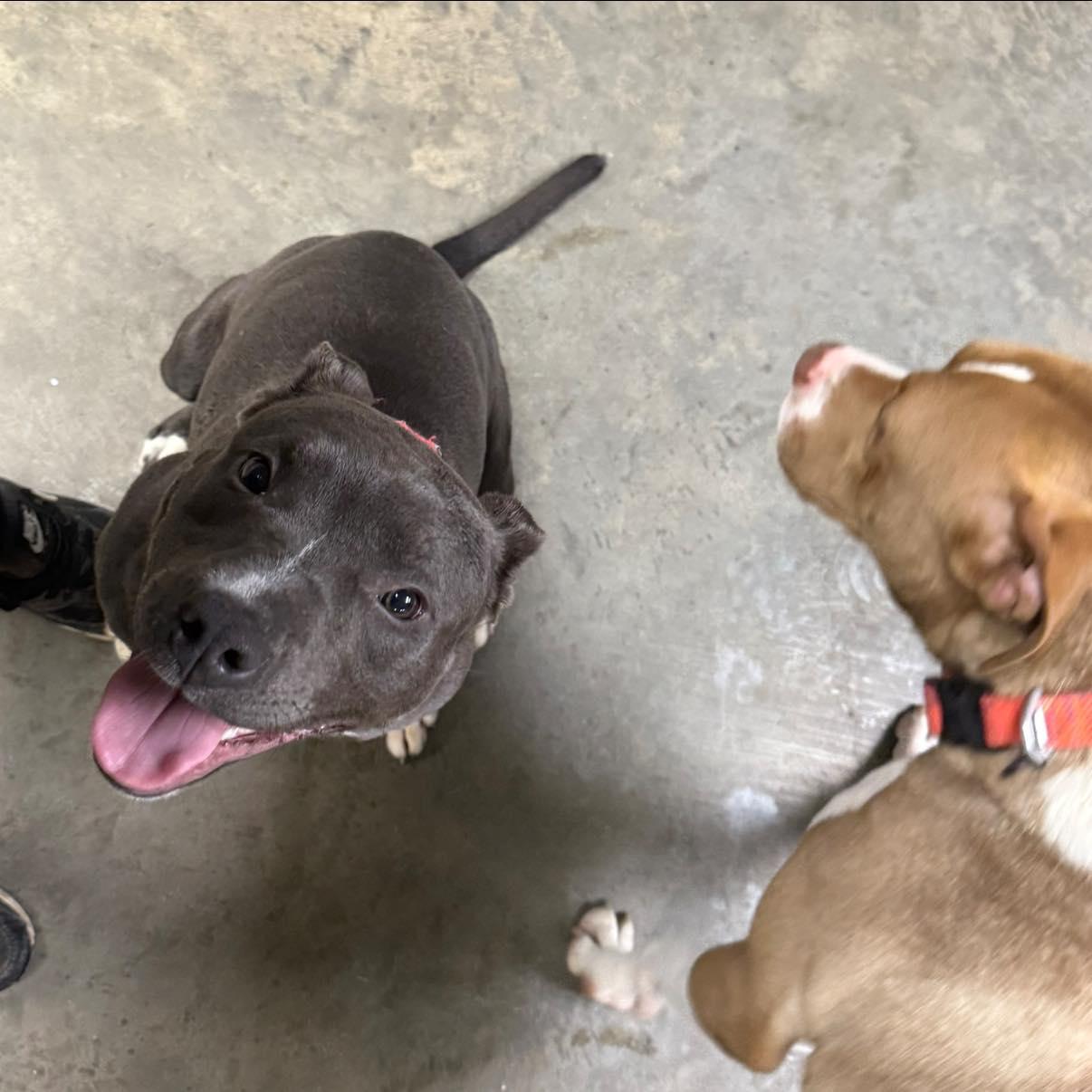 Gabriella — thumbnail 4