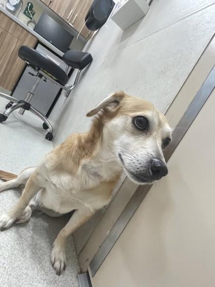 Kuma — thumbnail 2