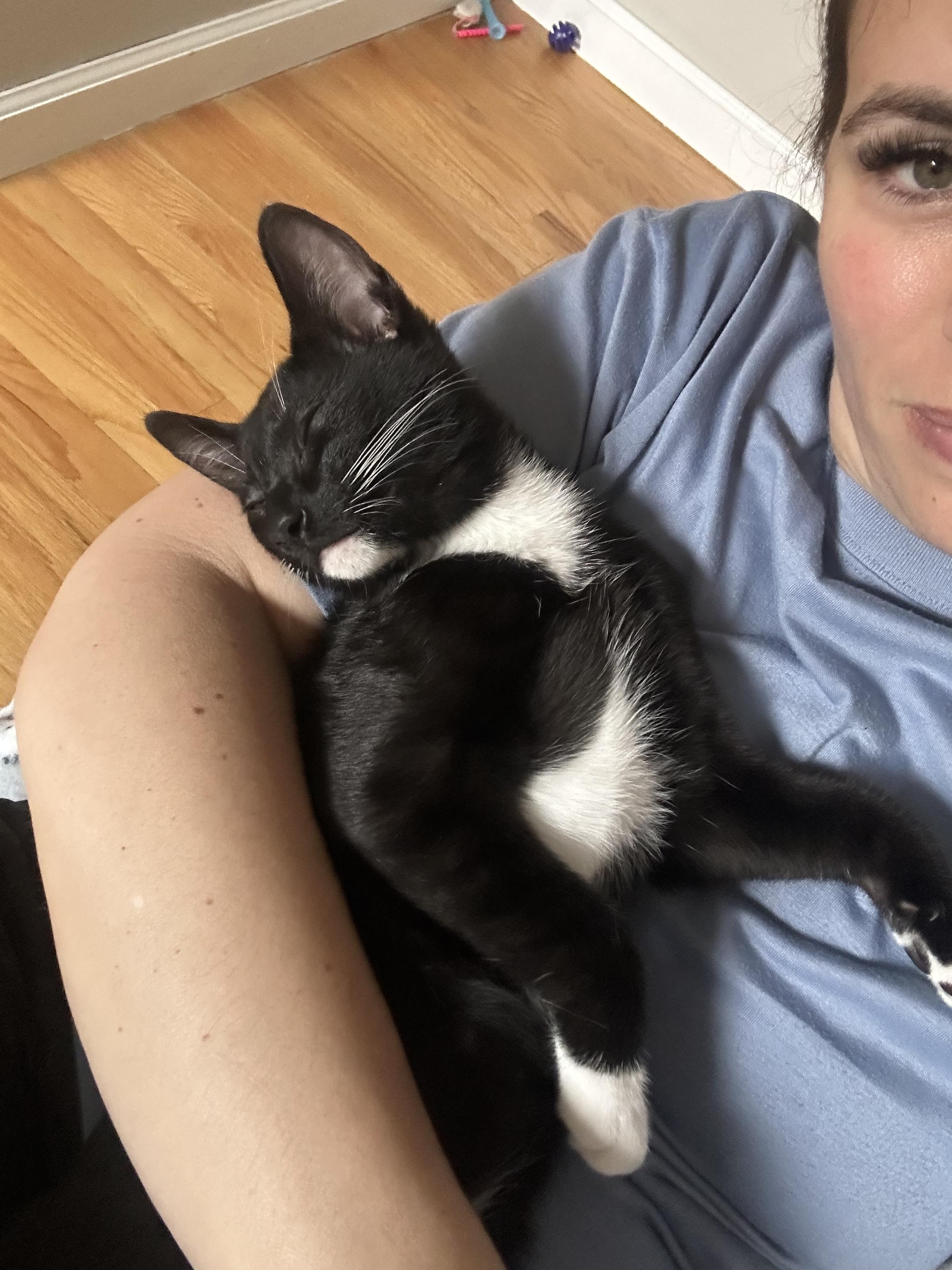 Oreo photo 3