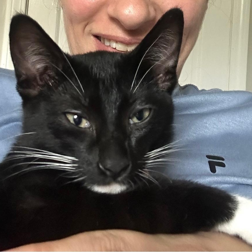 Oreo photo 2