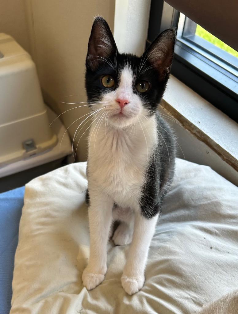 Wasabi — thumbnail 2