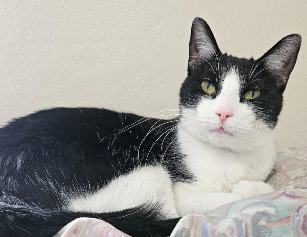 Wasabi — thumbnail 4