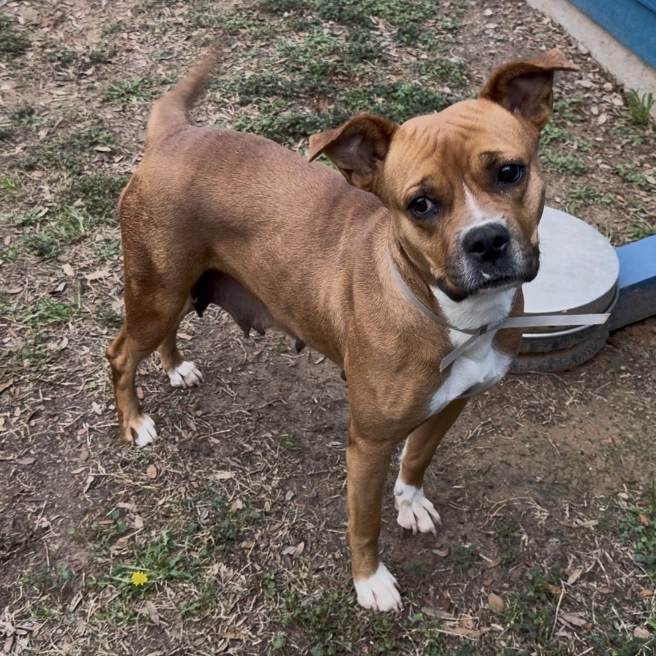 Melany — thumbnail 3