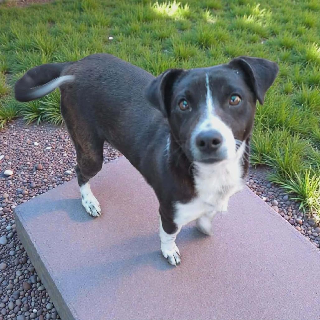 Smitty — thumbnail 2